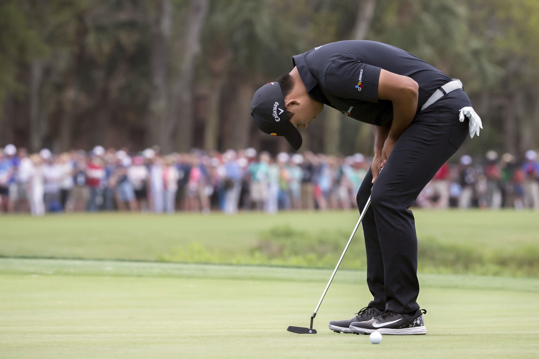 RBC Heritage Golf